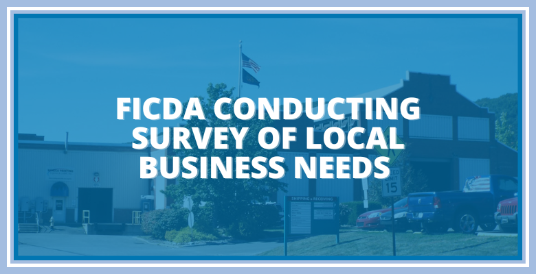 FICDA Survey of Local Business Needs